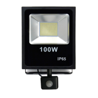 Світлодіодний прожектор  LED FL sensor 100W 6500K (з датчиком руху) ТМ "Іскра"